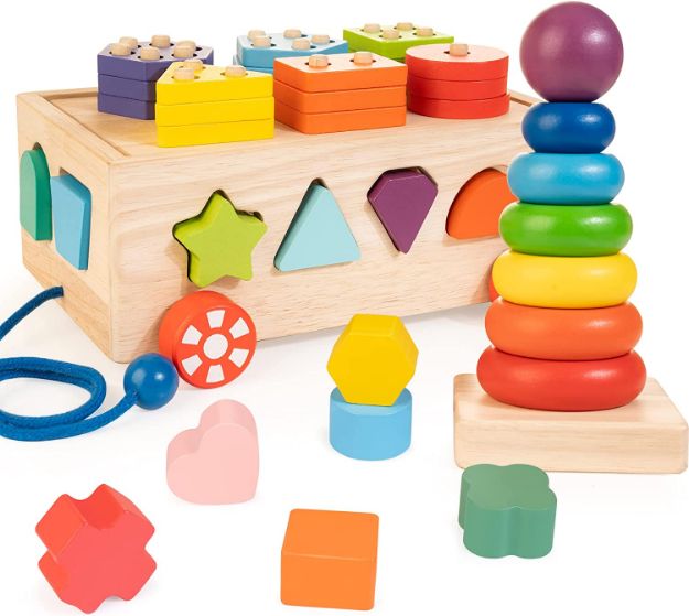 Montessori Wooden Shape Sorter Toys