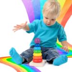Montessori Wooden Shape Sorter Toys