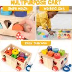 Montessori Wooden Shape Sorter Toys