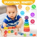 Montessori Wooden Shape Sorter Toys